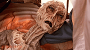 Hungry Cocoon GIF