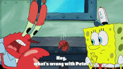 season 9 GIF by SpongeBob SquarePants