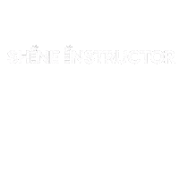 Sdf Instructor Sticker by SHiNEDanceFitness