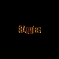 Texas Am Howdy GIF by Texas A&M at Qatar