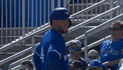 Blue Jays What GIF by Toronto Blue Jays
