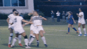 Ncaa Soccer Goal GIF by gamecocksonline