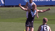 goal celebrate GIF by Port Adelaide FC