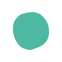 Buyers Guide Bones Sticker by Blue Tomato