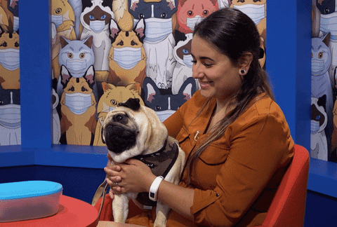 Dog Smile GIF by VPRO