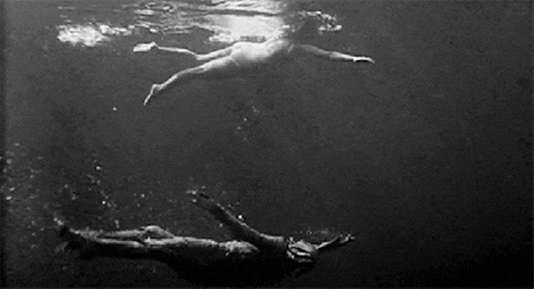 marsplastic universal 1954 the creature from the black lagoon julie adams GIF