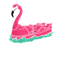 Festival Flamingo Sticker by Fondation du Week-end au bord de l'eau