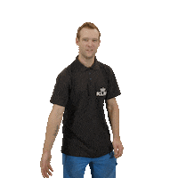 Flying Royal Dutch Airlines Sticker by KLM