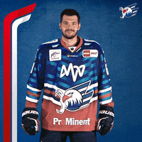 Eishockey GIF by Adler Mannheim