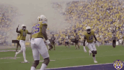 High Five College Sports GIF by LSU Tigers