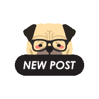 Pug Sticker