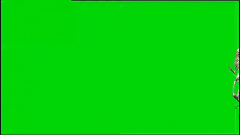 iySofi giphyupload giphycreatortest sofi iysofi GIF