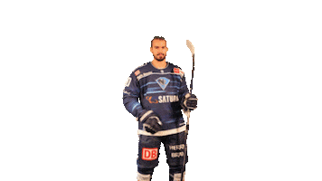 ercingolstadt celebration hockey arrow bow Sticker