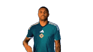 Bow And Arrow Celebration Sticker by Northern Ireland