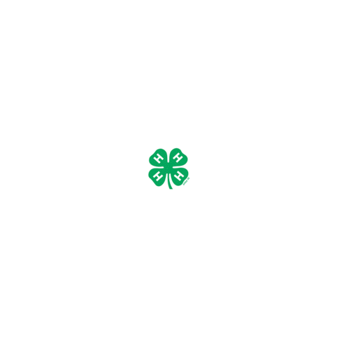 oklahomafourh giphyupload clover 4h 4-h Sticker