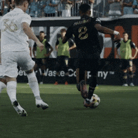 Major League Soccer Football GIF by Philadelphia Union