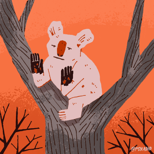 Down Under Fire GIF by Animation Domination High-Def