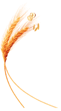 Wheat Everything You Love Sticker by Arnold Bread