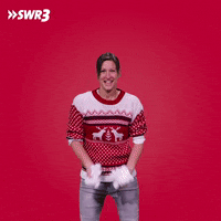 Merry Christmas GIF by SWR3