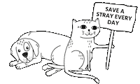 Street Cat Cats Sticker by STRAYZ