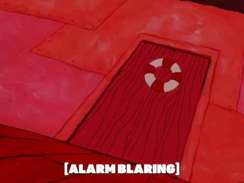 season 5 GIF by SpongeBob SquarePants