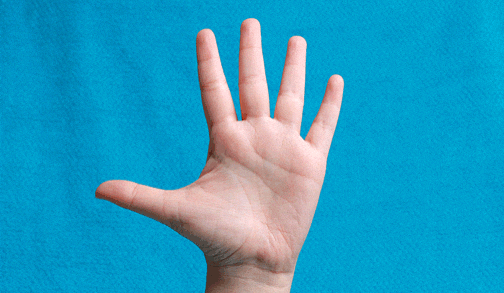 comment-economiser giphyupload GIF