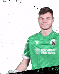 3Liga Wirechtanders GIF by SV Sandhausen