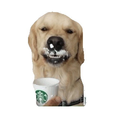 Starbucks Sticker by imoji