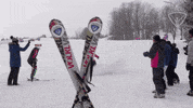 Alpine Skiing Snow GIF by All-Round Champion
