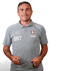 Switzerland Suisse Sticker by Swiss Football Association