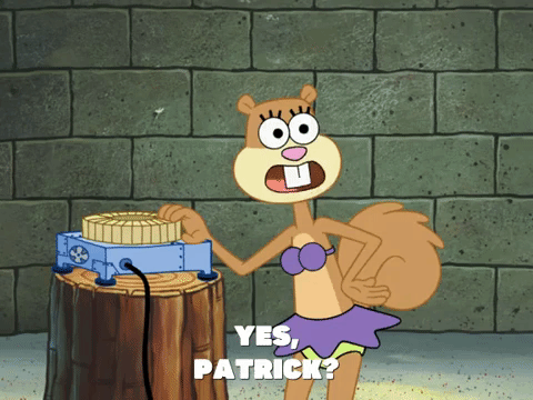 season 8 spongebob's runaway roadtrip: mooncation GIF by SpongeBob SquarePants