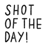 Of The Day Sticker by Catharina Stewart