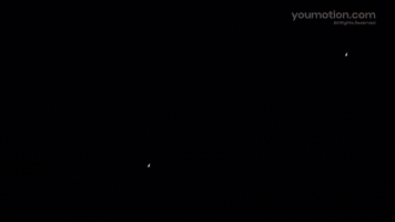 Cartoon Opener