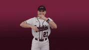siusalukis siu salukis salukisoftball siusoftball GIF