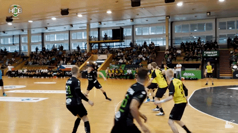 Czech Republic Handball GIF by HCB Karviná