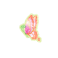 Fly Butterfly Sticker by Wildflower Cases