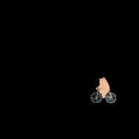 ridelaval bikeschool ridelaval val mustair GIF