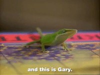 season 2 GIF