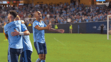 New York City Fc Fans GIF by NYCFC