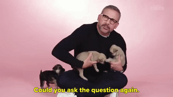 Could You Ask The Question Again