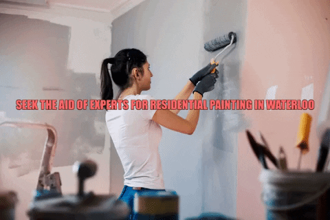 quickpaintingsolutions giphygifmaker kitchen cabinet painting in waterloo residential painting in waterloo cabinet painting in waterloo GIF