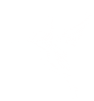 Link Bio Sticker by The Colibri Collective