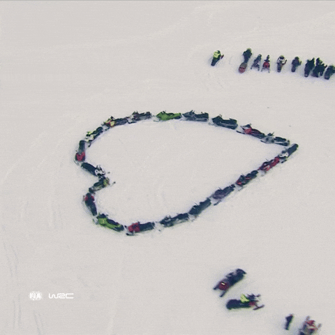 Rally Sweden Love GIF by FIA World Rally Championship