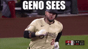 Good Vibes Baseball GIF