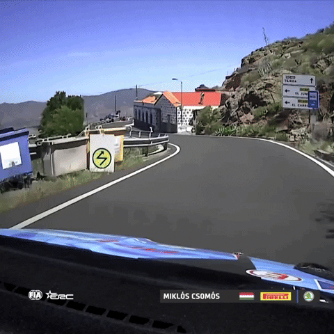 Fail Car Crash GIF by FIA European Rally Championship