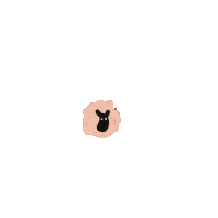 Uj Sticker