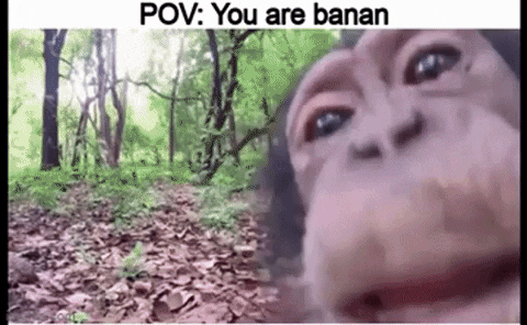 certifiedrat giphyupload GIF