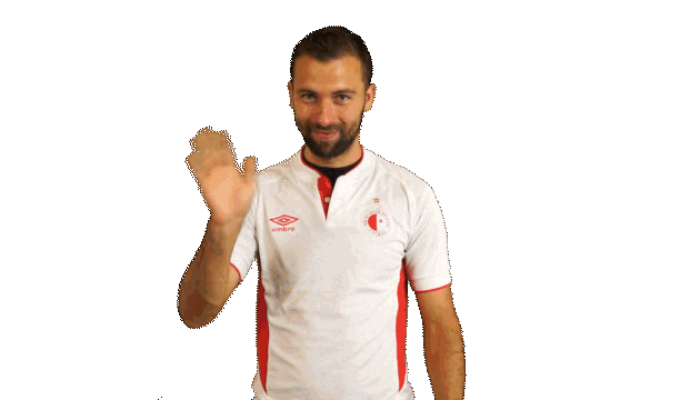 football hello Sticker by 1. fotbalová liga