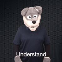 asl understand GIF
