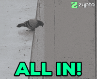 All In Bird GIF by Zypto